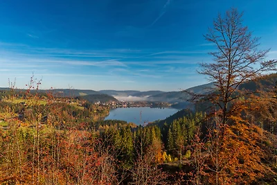 Appartamento Vacanza con famiglia Titisee-Neustadt