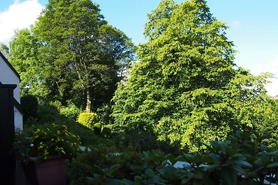 Apartment Harzgrün 2