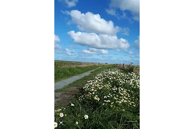 Appartamento Vacanza con famiglia Hage