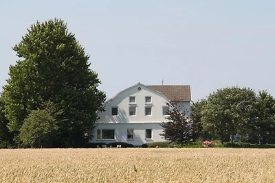 Ferienhof Schoof No.3