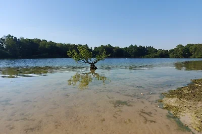 Ferienhaus Drosselgasse 8