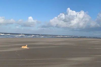 Traumblick Nr. 31 Traumlage erste