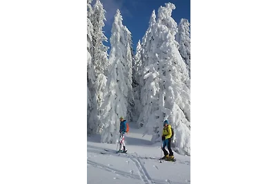 Wildnisresidenz am Nationalpark -