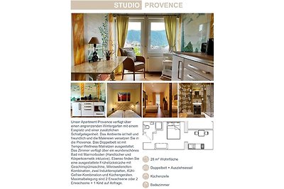 Apartment Provence