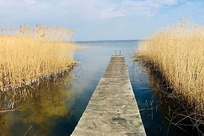 Sonniges Strandhaus am Haff mit