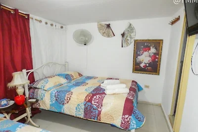 CASA GISELA Appartement 4