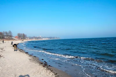 Appartamento Vacanza con famiglia Haffkrug