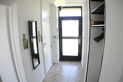 Uferschwalbe - Hohwacht