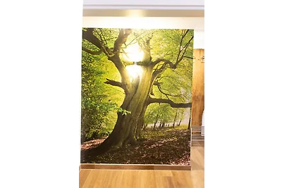 Appartamento Vacanza con famiglia Ottenstein