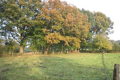 Ferienwohnung Eulennest