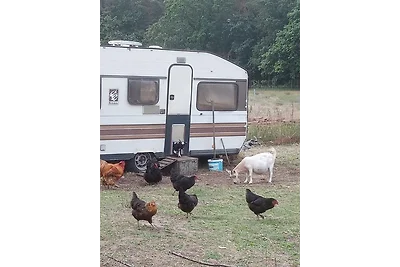 Ein Hauch von Orient