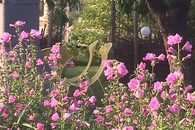 Fewo Fin vor den Toren SPO mit viel