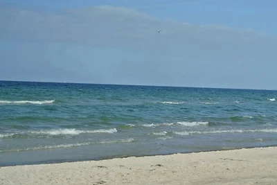 Strandläufer - Sünnenkieker WE11