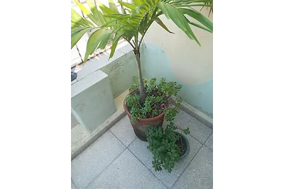 Casa de Eduardo Osorio Appartement