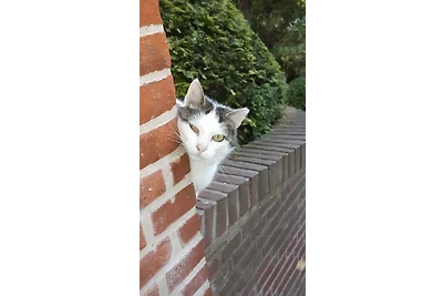 Appartamento Vacanza con famiglia Sahrensdorf