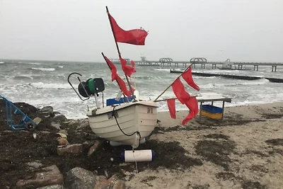 Haus Strandläufer Wohnung 1