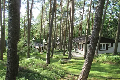 Feriendorf Mengshausen 1