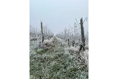 Ferienwohnung "Im Weidengarten"
