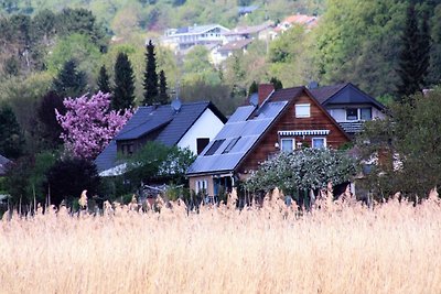 Vakantieappartement Gezinsvakantie Radolfzell