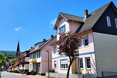 Appartamento Vacanza con famiglia Bad Harzburg