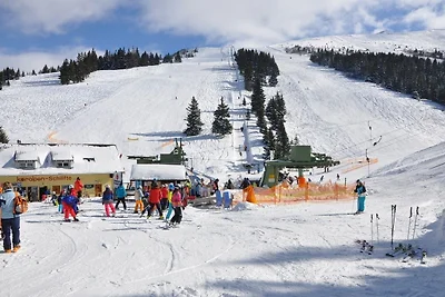 Almliebe-Feriendorf Koralpe