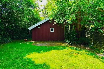 Komfort-Ferienhaus Sonnental #50