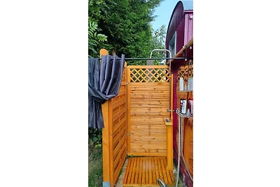 Bauwagen "Rhumeblüte"