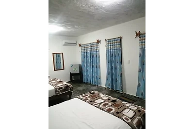 Hostal Henry El Delfin Appartement