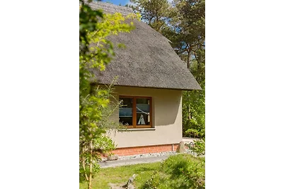 reetgedecktes FH am Deich 2/2