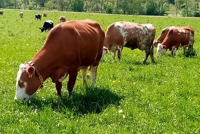 Ökoferien " Am Hilkenberg" OG