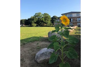 Apartment - Erdgeschoss