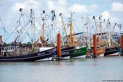 Vakantieappartement Gezinsvakantie Hage