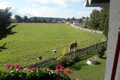 Gästehaus Reisacher -