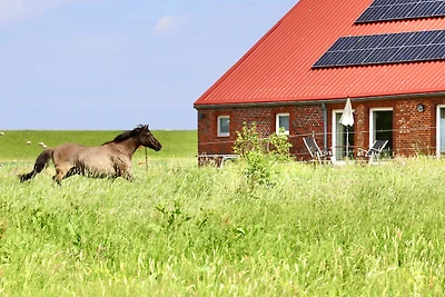 Sömmerland, Exklusive