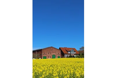 Kleingarn - "Meeresblick" Nr.12