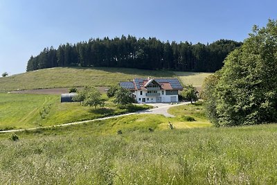 BodenSEE Apartment Neukirch