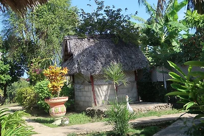 Vakantieappartement Gezinsvakantie Holguin