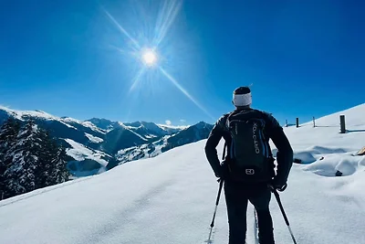 Chalet Skicircus Hinterglemm