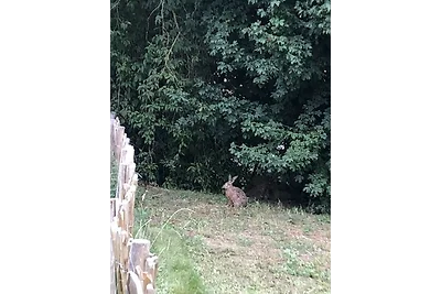 Appartamento Vacanza con famiglia Boltenhagen