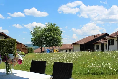 Ferienhaus Nr. 56, Kategorie
