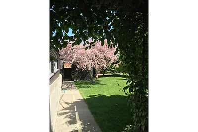 Vakantieappartement Gezinsvakantie Eisenberg