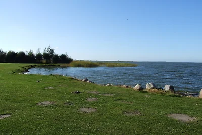 Casa vacanze Vacanza di relax Saal in Vorpommern