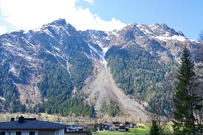 Vakantieappartement Gezinsvakantie Längenfeld