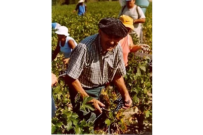 Vakantiehuis Ontspannende vakantie Begadan