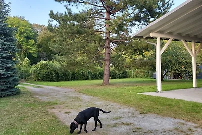 Lanckensburg Fewo1 - Doris