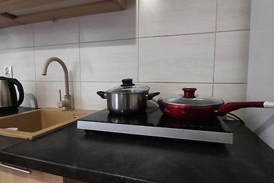 Apartment for 2 guests (Cracow Old