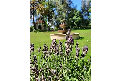 Vakantieappartement Gezinsvakantie Groß Tessin
