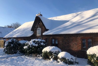 Vakantieappartement Gezinsvakantie Niebüll