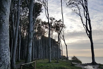 Baltic Sky