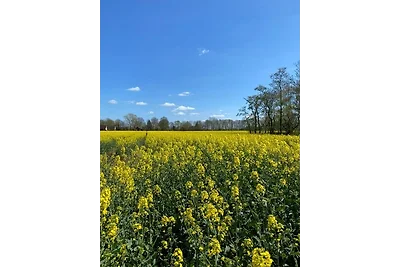 apartman za odmor Obiteljski odmor Butjadingen